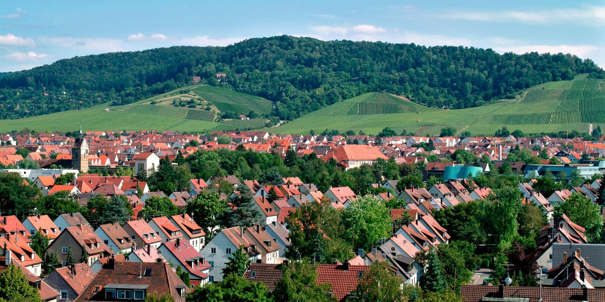 Panorama von Fellbach mit roten Dächern, grünem Hügel im Hintergrund und teils bewölktem Himmel.
