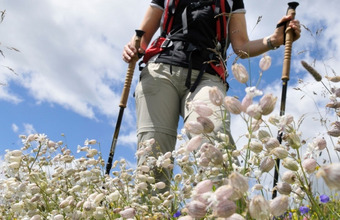 Nordic Walking